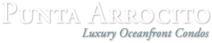 Logo Punta Arrocito
