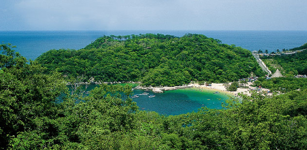 Ocean Homes